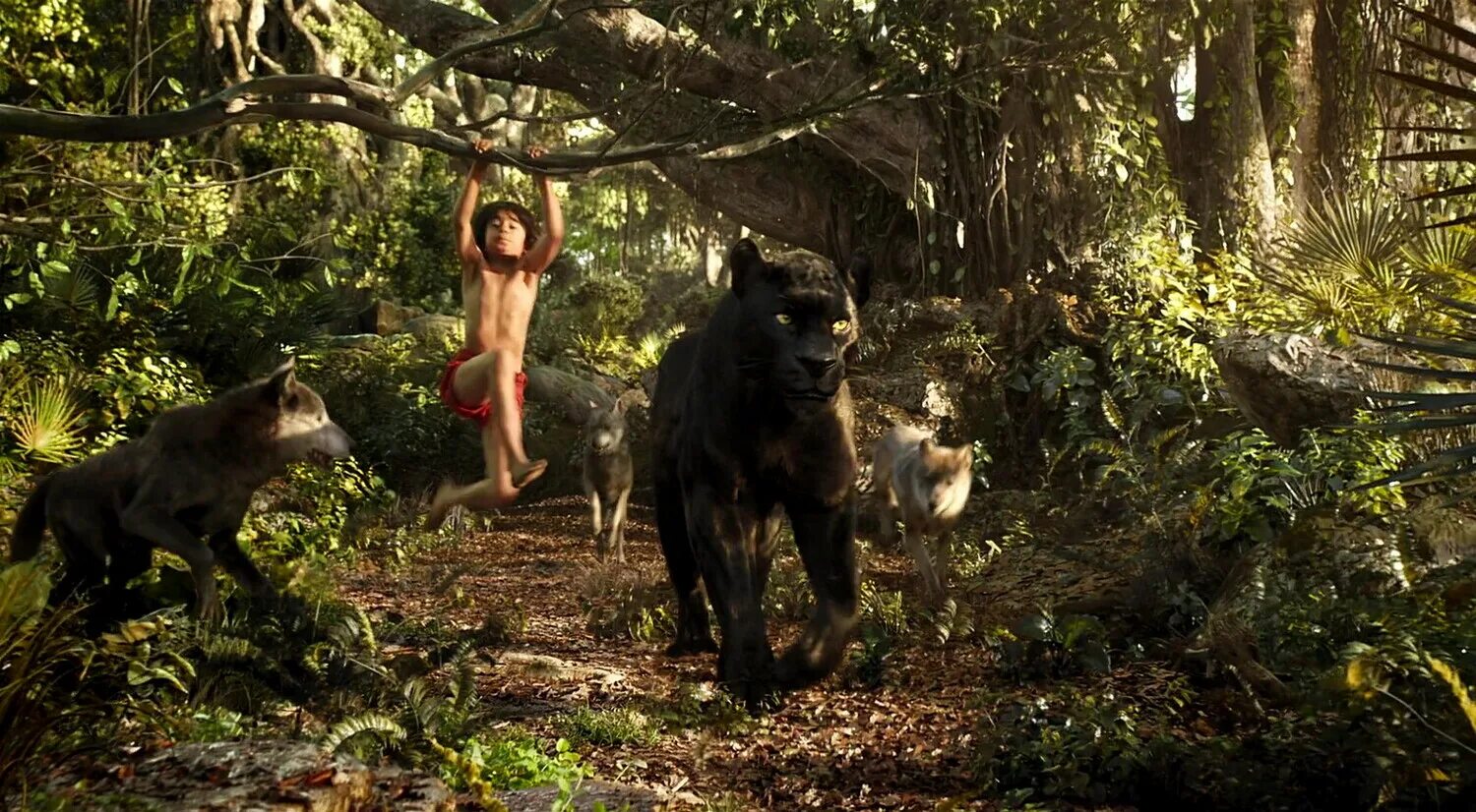 Книга джунглей фото Stills - The Jungle Book