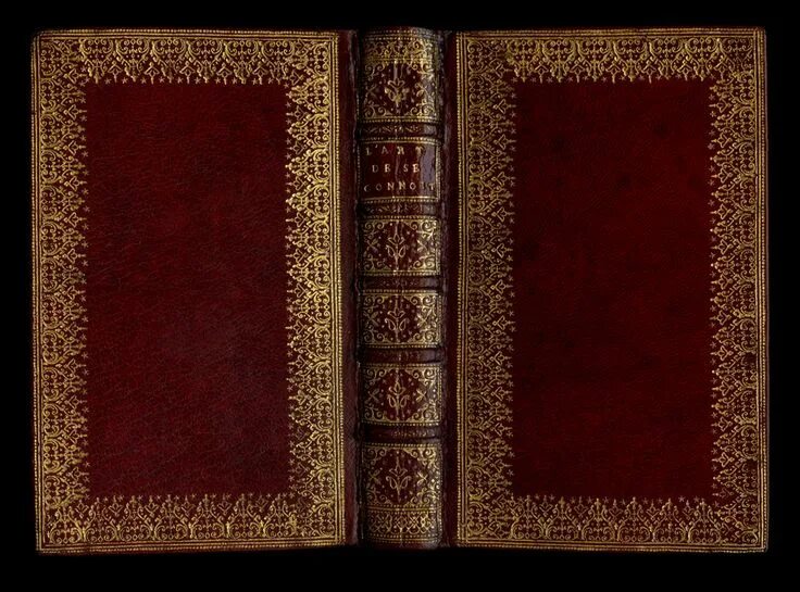 Книга фото фотошоп Dentelle by Luc-Antoine Boyet Book texture, Book cover design, Leather books