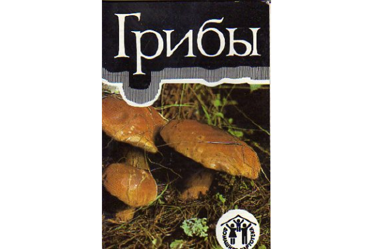 Книга грибов фото Книга Грибы. Комплект 12 открыток (-) 1991 г. Артикул: 11154219 купить