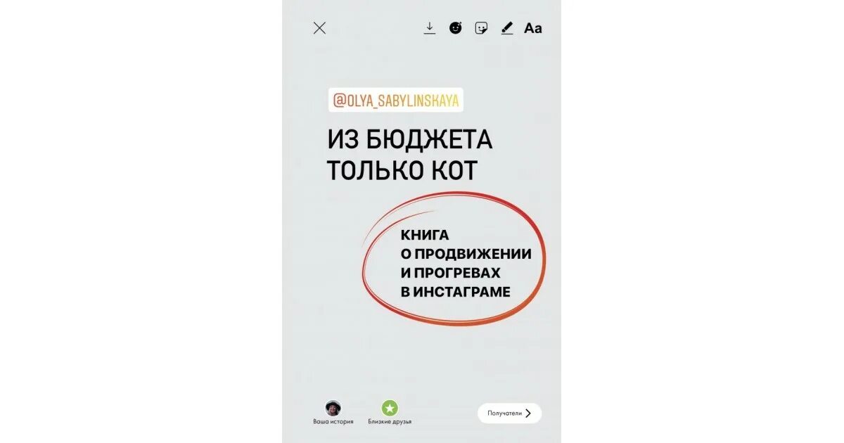 Книга инстаграм фото Из бюджета только кот. Книга о продвижении и прогревах в инстаграме, Оля Сабылин