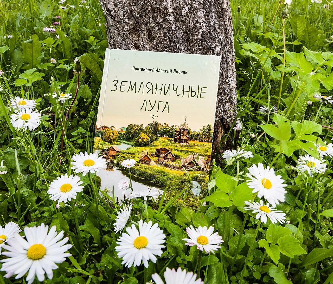 Книга лета фото #2234 post - Вольный Странник (@vs_books)