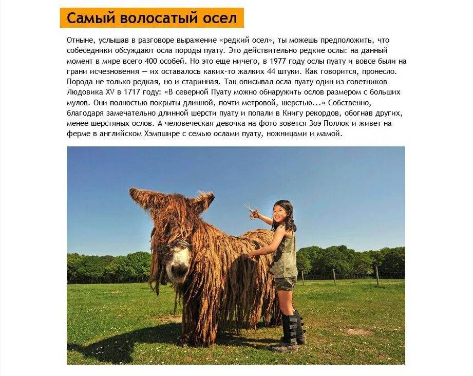 Книга рекордов фото с описанием Предлагаем вам самые яркие и зрелищные достижения из Книги ... Знаете ли Вы? Фот