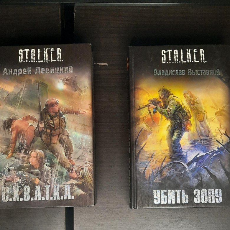 Книга сталкер фото Книги серии сталкер - купить в Москве, цена 550 руб., продано 14 августа 2022 - 