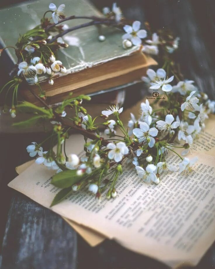 Книга цветы фото и название Flower aesthetic, Book art, Flower crown