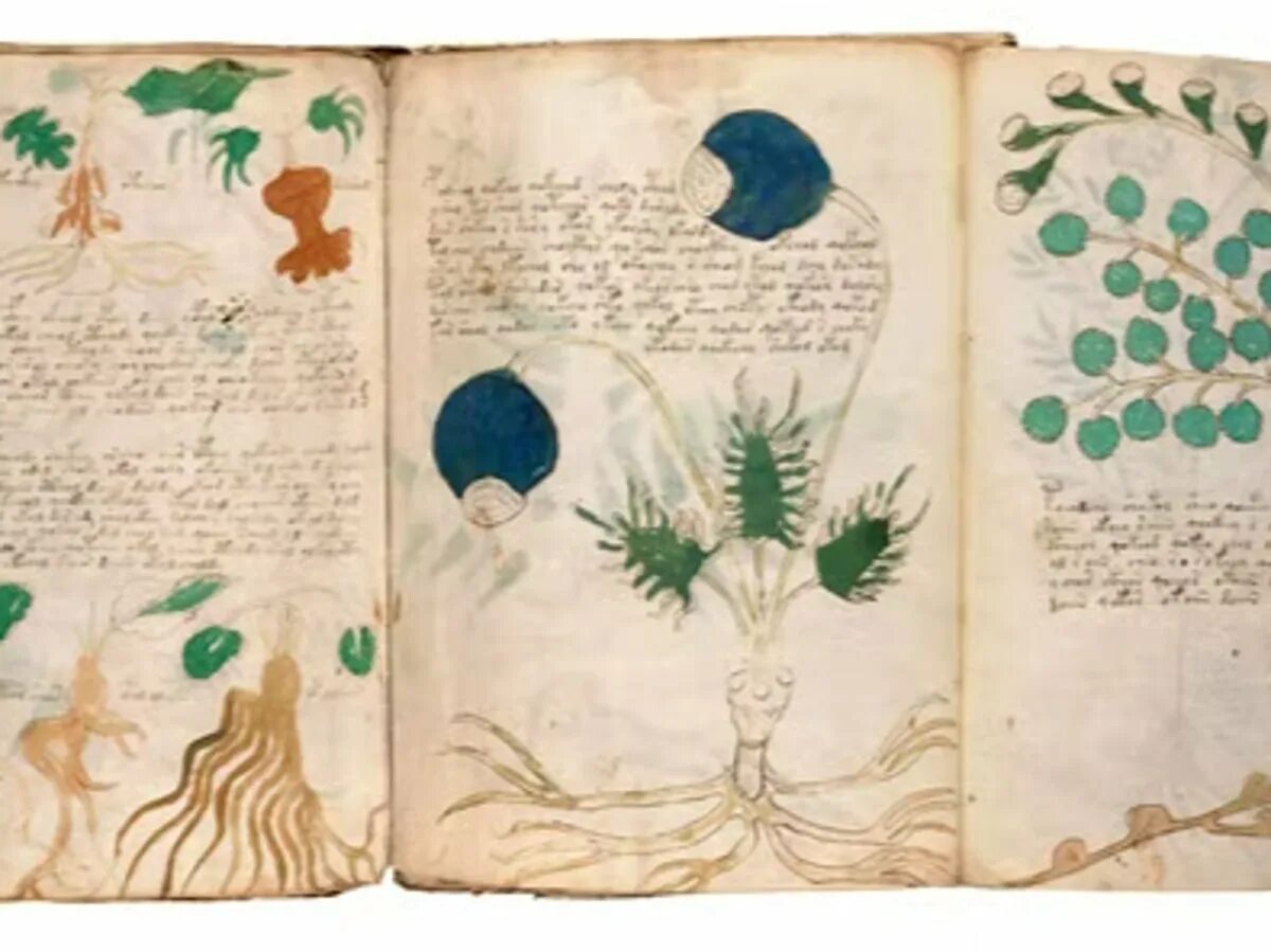 Книга войнича фото Researcher discovers unknown history behind the Voynich manuscript, the world’s 