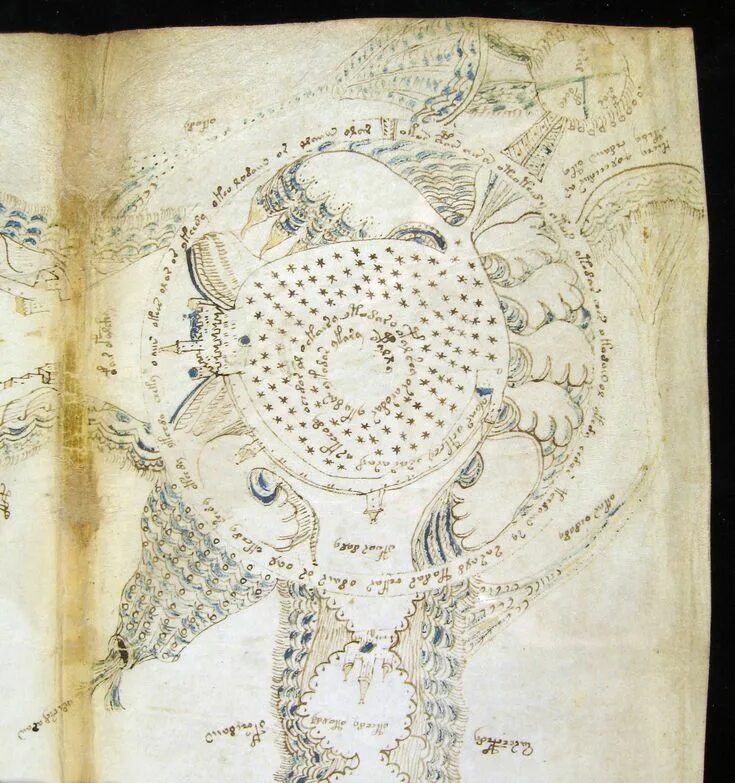 Книга войнича фото Dos libros raros: Manuscrito Voynich y Codex Seraphinianus Voynich manuscript, M