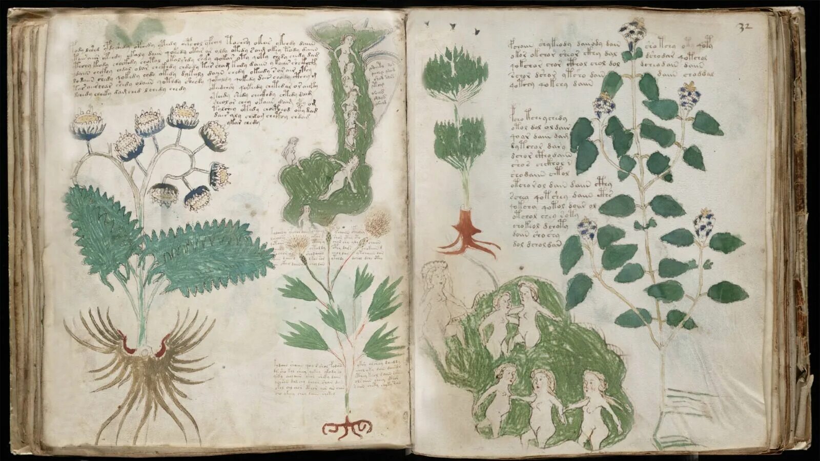 Книга войнича фото VOYNICH MANUSCRIPT - MYSTERIOUS ILLUSTRATED MEDIEVAL BOOK - SECRET CODE ON DVD к