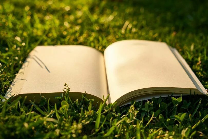 Книги 2016 фото Программа "Литературный марафон по книгам-юбилярам" 2020, Яковлевский район - да