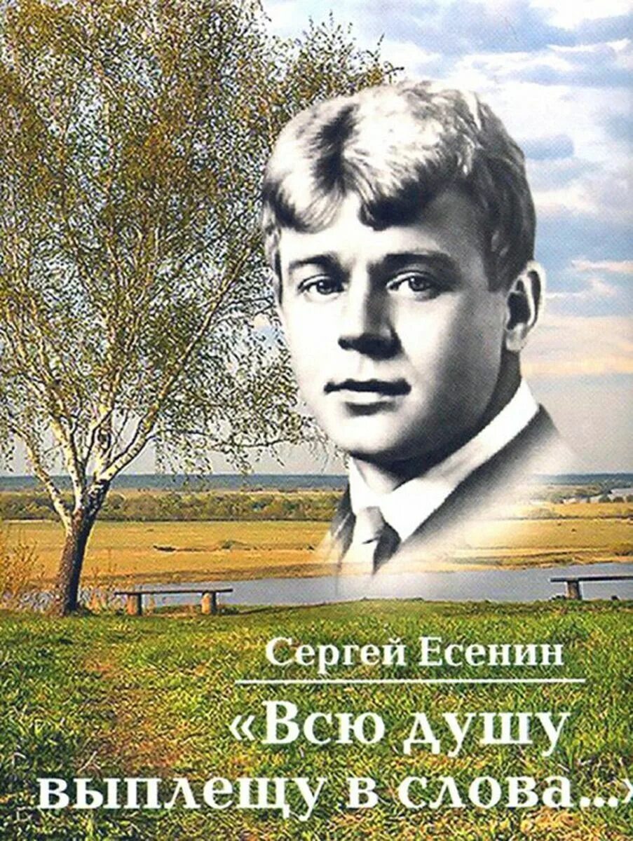 Книги есенина фото Всю душу выплещу в слова. Есенин Сергей Александрович - купить с доставкой по вы