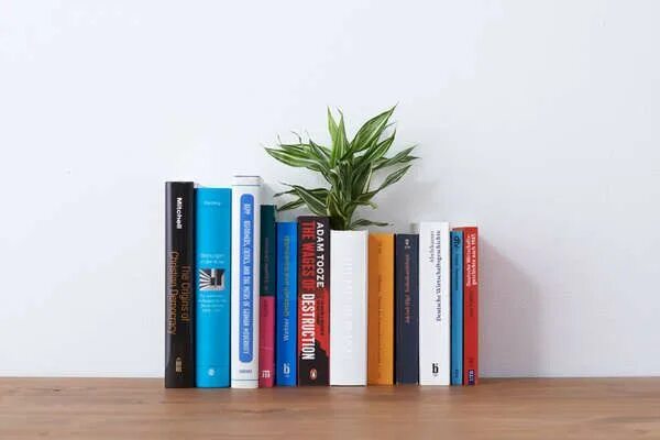 Книги на полу фото Hollow Book Planters Flower vase design, Book decor, Modern flower vase