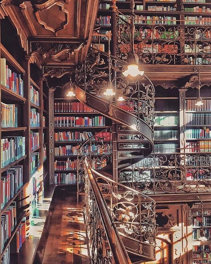 Книжный мир фото Munich Travel community on Instagram: "✨ Municipal Law Library (Juristische Bibl