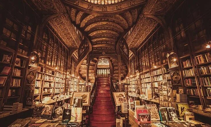 Книжный мир фото Livraria Lello: uma das livrarias mais bonitas do mundo está no Porto Livraria l