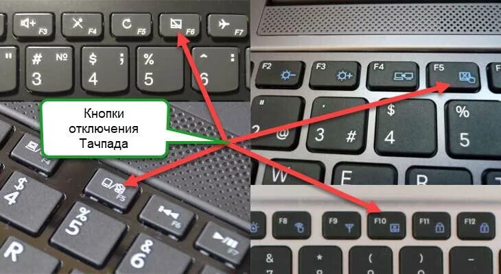 Кнопка тачпада на ноутбуке фото Картинки ГОРЯЧАЯ КЛАВИША ТАЧПАД