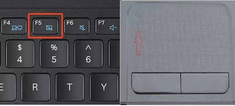 Кнопка тачпада на ноутбуке фото Touchpad disable