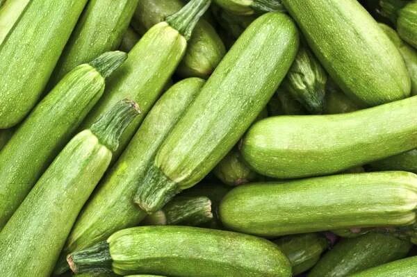 Куча кабачков фото Кабачок Суха F1 семена - низкая цена, описание, отзывы, продажа