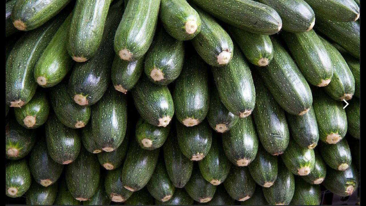 Куча кабачков фото Топ-5 самых вкусных блюд из кабачков - YouTube