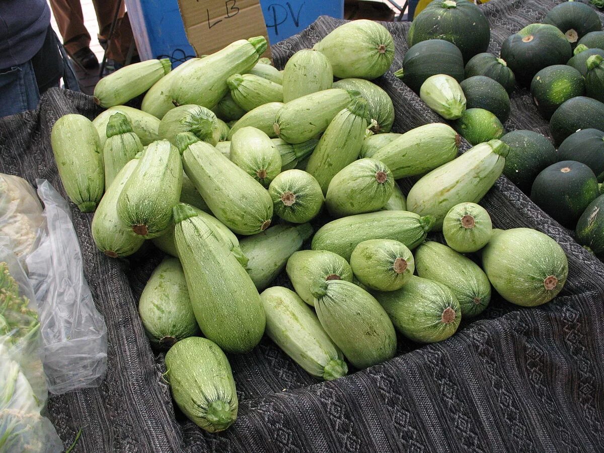 Куча кабачков фото vegetable marrow - Wiktionary, the free dictionary