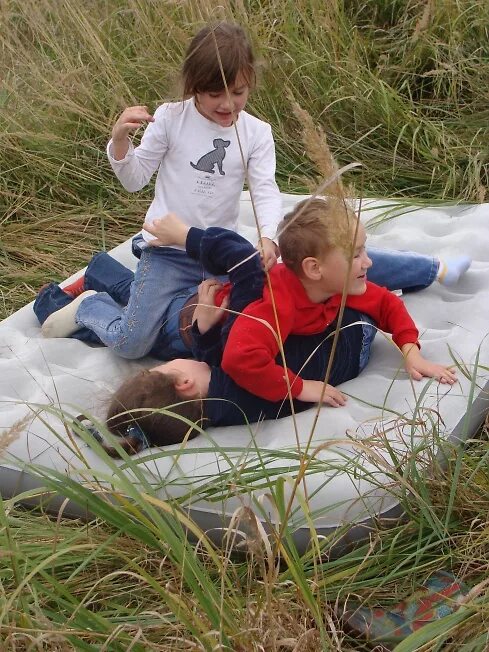 Куча мала фото Куча - мала - фото автора СамаЯ на сайте Сергиев.ru