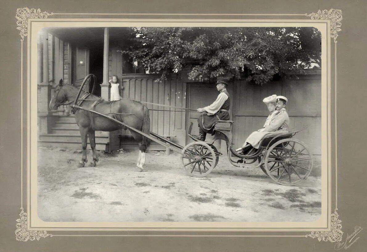 Кучер и conga промышленная ул 20б фото Гужевой транспорт России SmolBattle