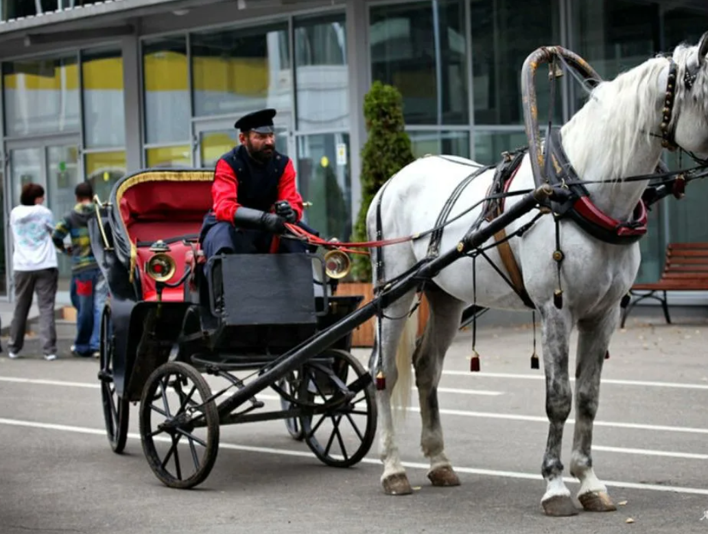 Кучер и conga промышленная ул 20б фото Исчезнувшие профессии: куда делись будильники и крючники? (и кто это были вообще