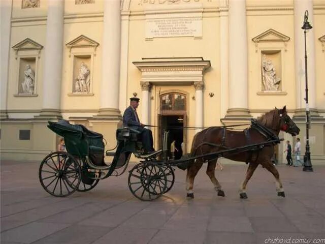 Кучер и conga промышленная ул 20б фото Картинки КУЧЕР ЖИТЬ