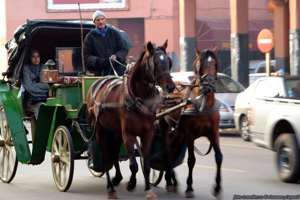 Кучер и conga промышленная ул 20б фото Марокко 2007-8 - Пещеры в горах Атласа Часть 7. Сайт Ляховца Сергея - Походы, сп