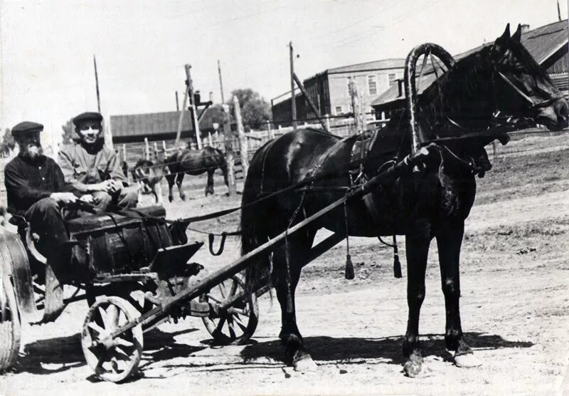 Кучер и conga промышленная ул 20б фото Фотогалерея