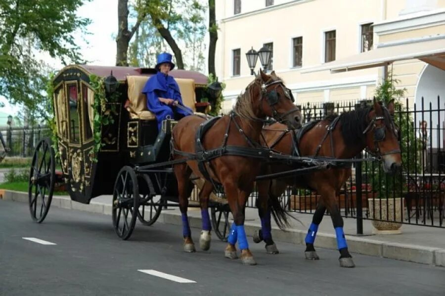 Кучер промышленная ул 20б фото Аренда кареты Екатерины Великой на 6 мест за 14 000 руб/час в Санкт-Петербурге (