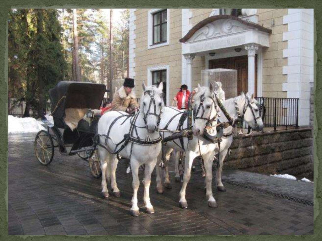 Кучер промышленная ул 20б фото Кучер промышленная ул 20б дмитров фото