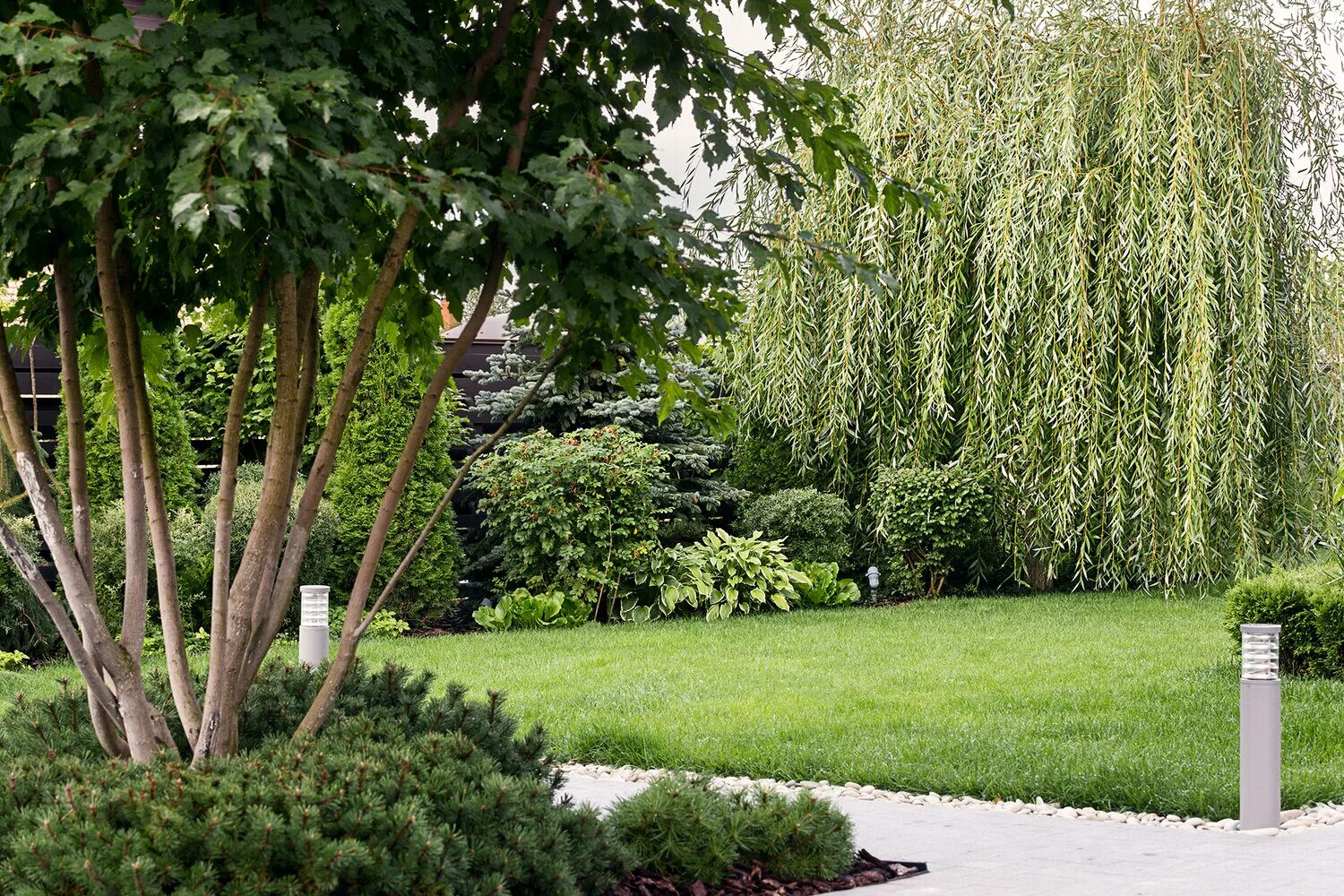 Кучерявая ива в ландшафтном дизайне фото Andrey Skomoroni - Фото, видео, аудио, Видеосъёмка, Фотосессии, Москва на Яндекс