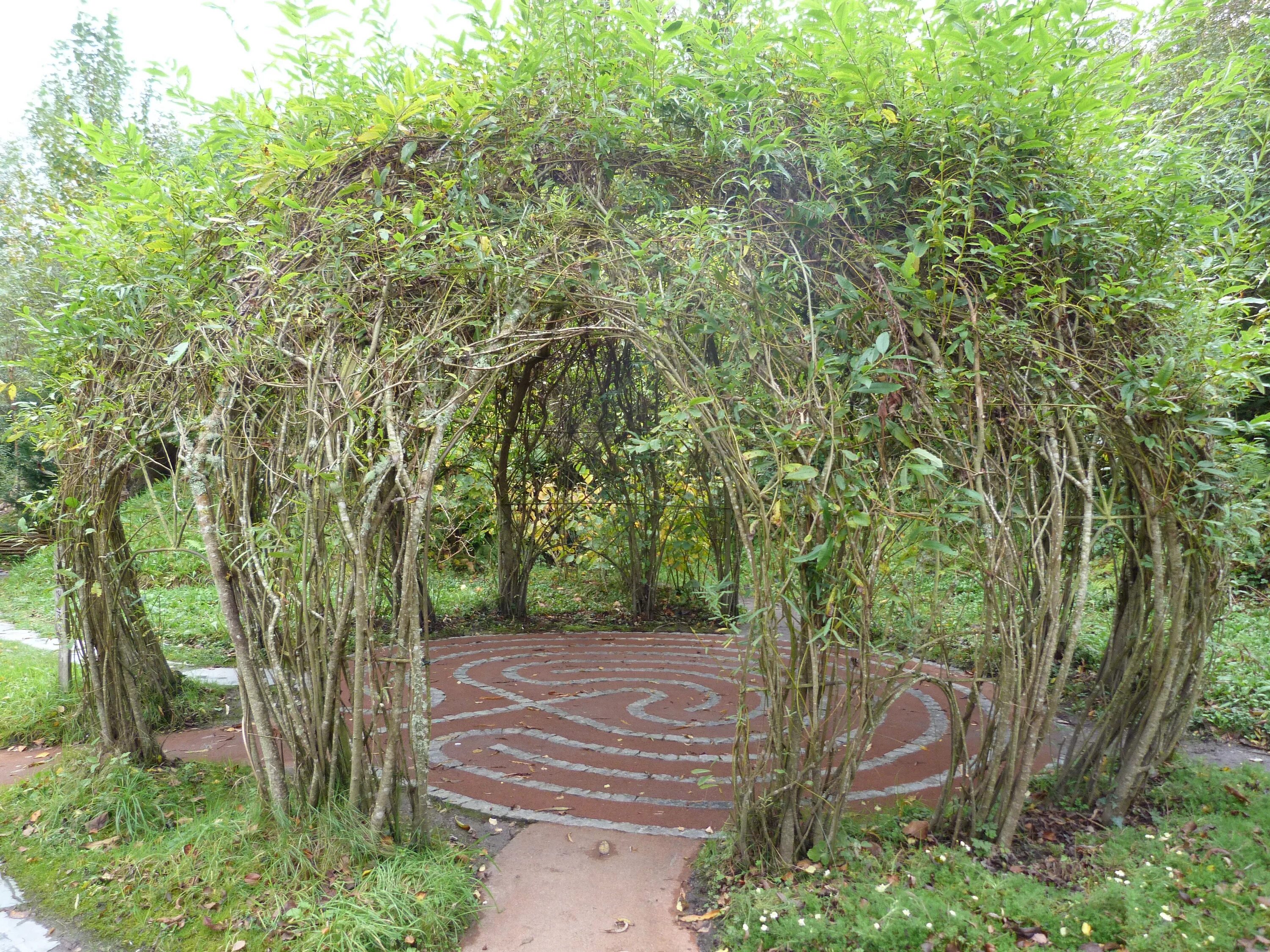 Кучерявая ива в ландшафтном дизайне фото Labyrinth garden, Garden design, Labyrinth design
