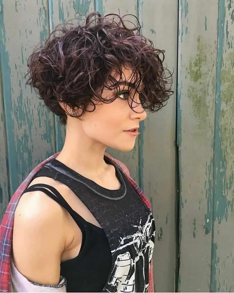 Кучерявая короткая прическа Pin on pelos Curly pixie haircuts, Curly pixie hairstyles, Short curly haircuts