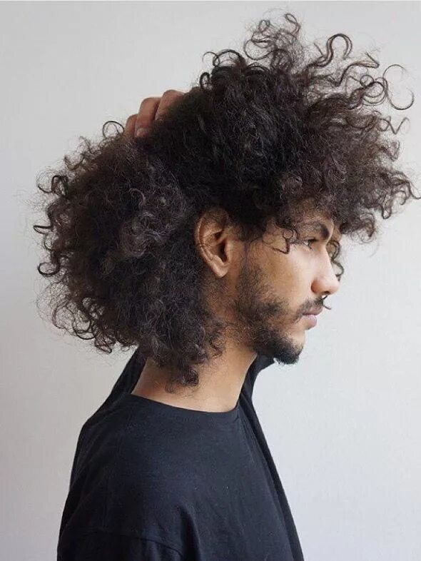 Кучерявая прическа мужская Pin by Girl. on Gentlemen Long hair styles men, Curly hair styles, Long hair sty