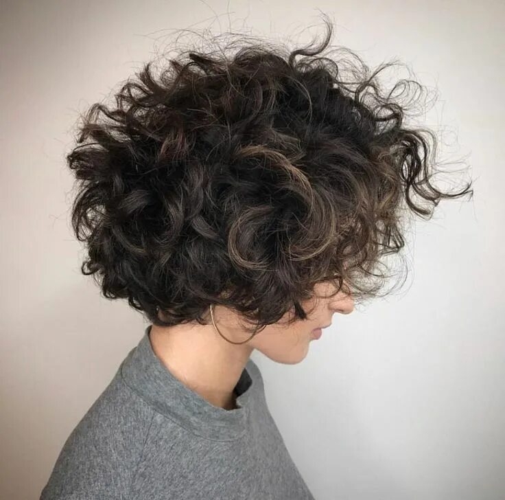 Кучерявые короткие волосы фото Кратка коврџава коса 2021-2022 Curly hair inspiration, Short curly haircuts, Hai