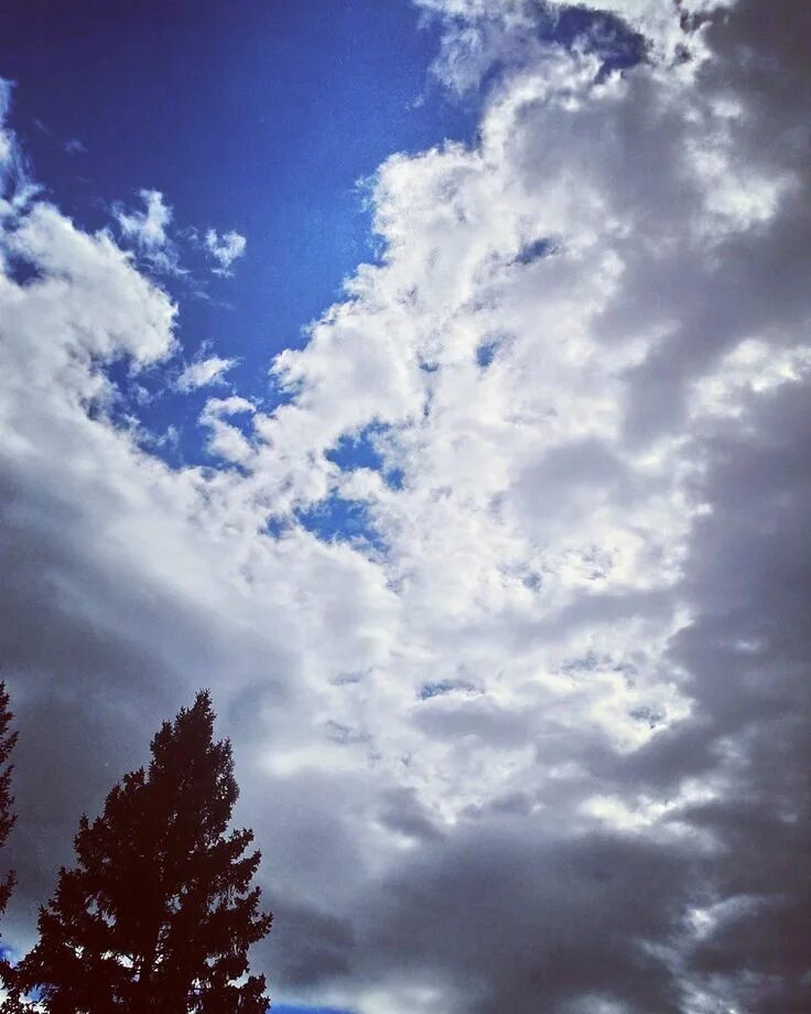 Кучерявые облака фото Pin on Фотографии и видео Clouds, Outdoor