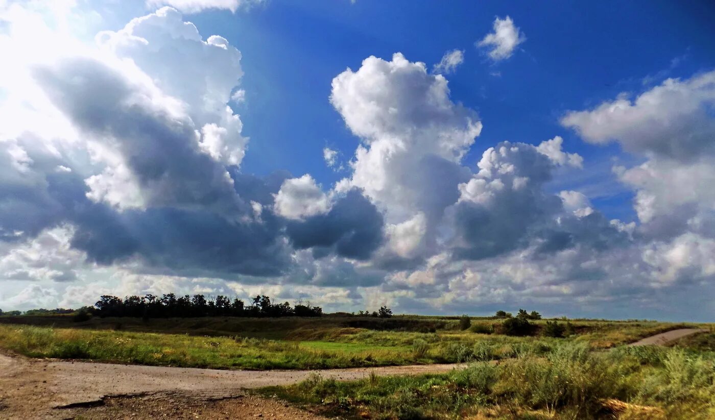 Кучерявые облака фото Облака / Дорога, деревья,небо,кучерявые облака