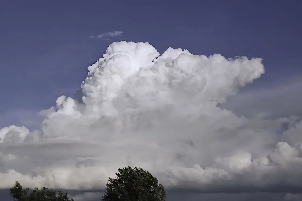 Кучерявые облака фото ПРИРОДА ЛУЧШИЙ ХУДОЖНИК / Ветер рисует в облаках человеческие портреты