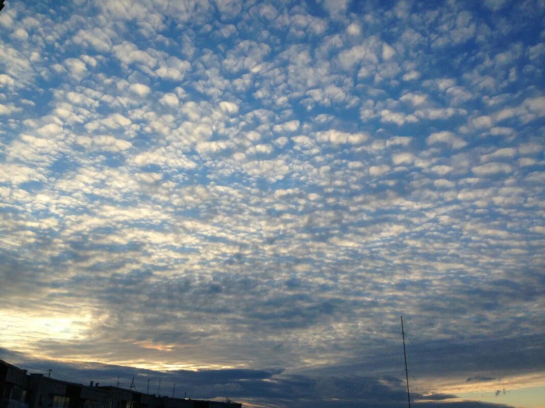 Кучерявые облака фото кудрявые облака :: zasonja - Социальная сеть ФотоКто