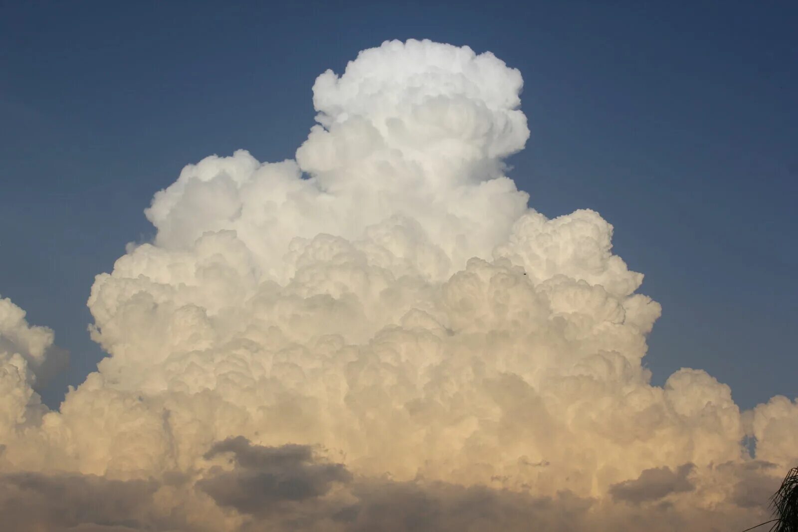 Кучерявые облака фото Canon EOS 550D (EOS Rebel T2i / EOS Kiss X4) sample photo - ud7dyQgVdy - Explore