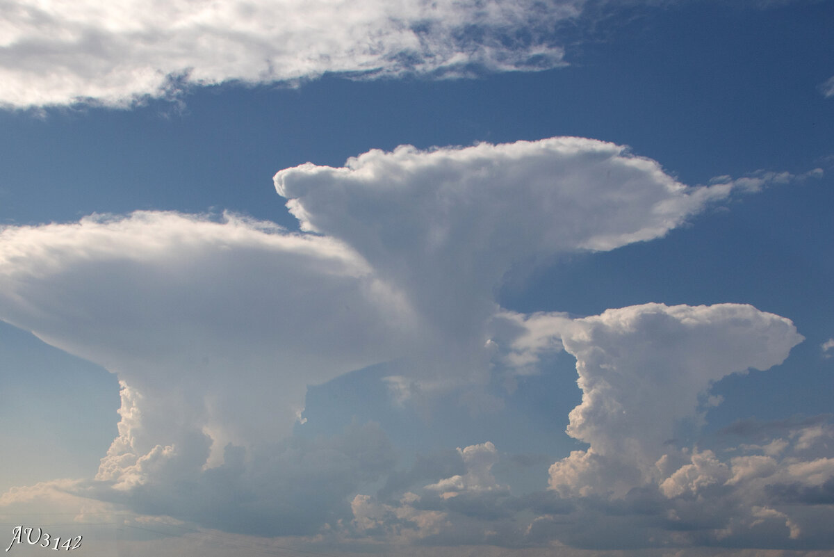 Кучерявые облака фото Грибовидные облака: прятаться или любоваться? AU3142 Дзен