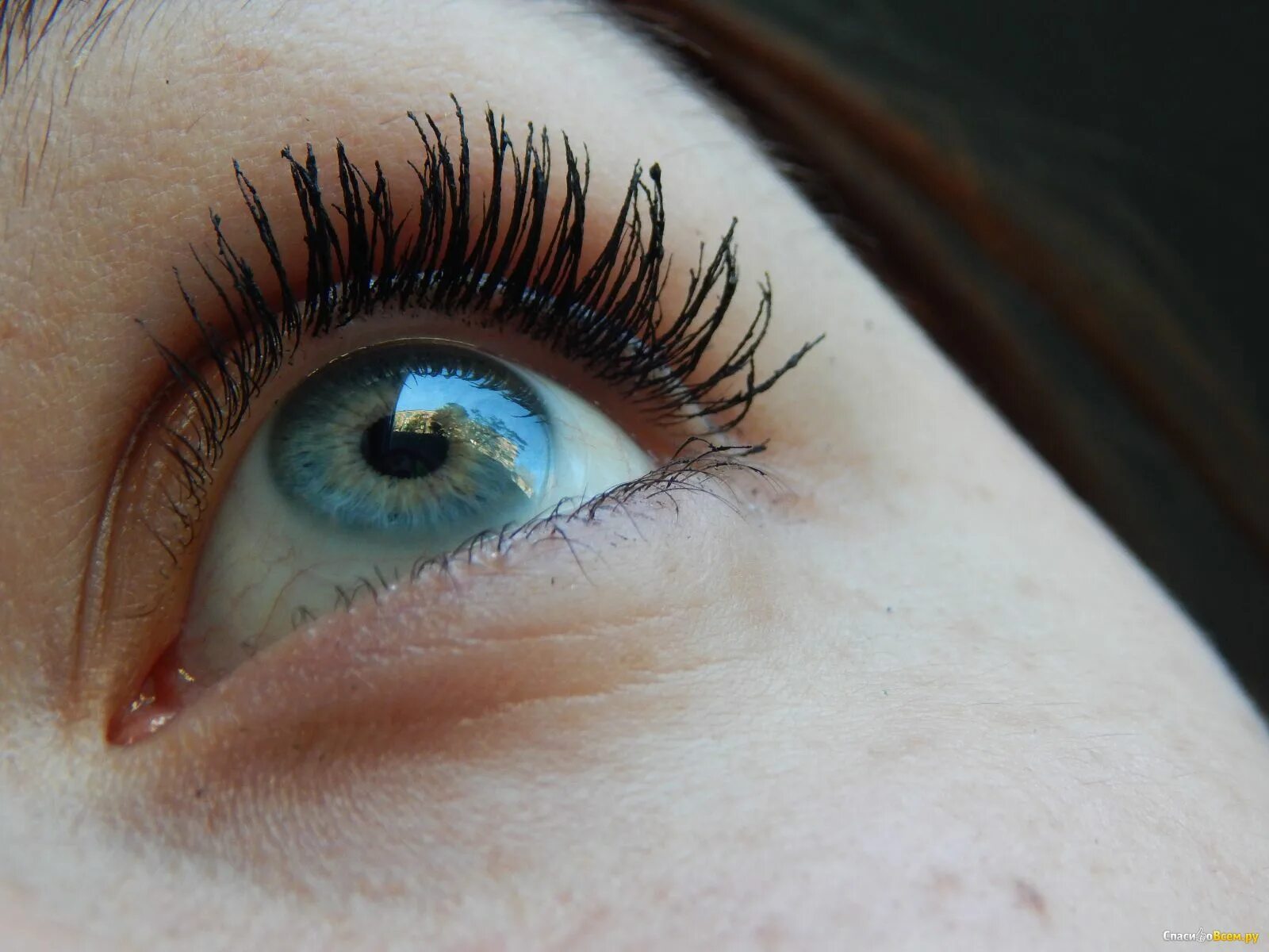 Кучерявые ресницы фото Отзыв про Тушь для ресниц Divage 90х60х90 Luxurious Lashes: "Ваши ресничку будут