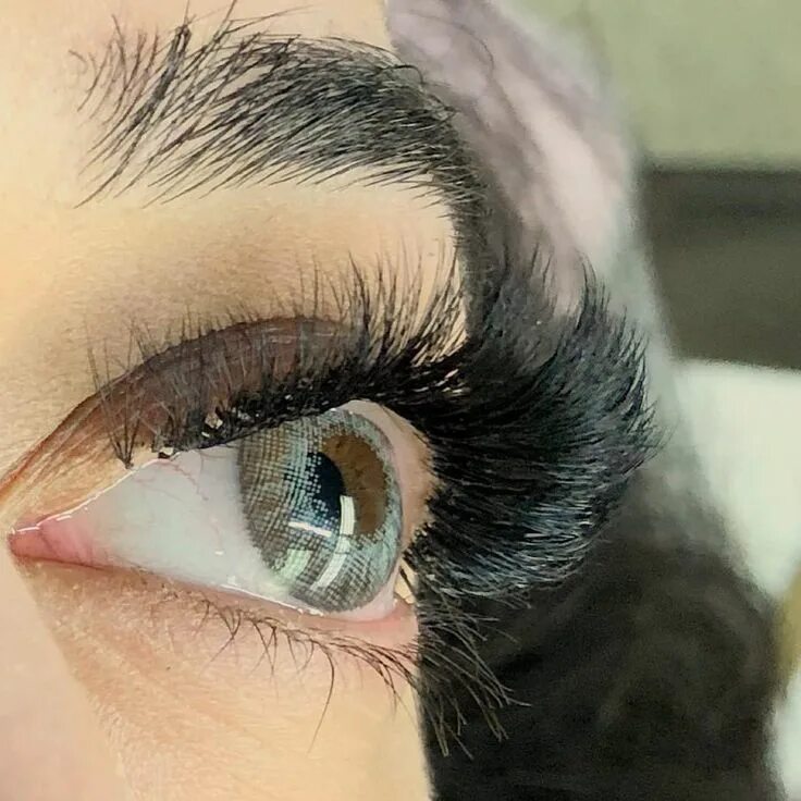 Кучерявые ресницы фото Natural Volume Full Set (2D-3D) $150 Eyelash extensions, Fusion hair extensions,