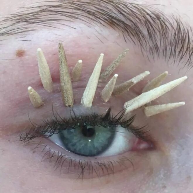 Кучерявые ресницы фото Кучерявые ресницы и ещё несколько глупых трендов от визажиста Софи Петерсен