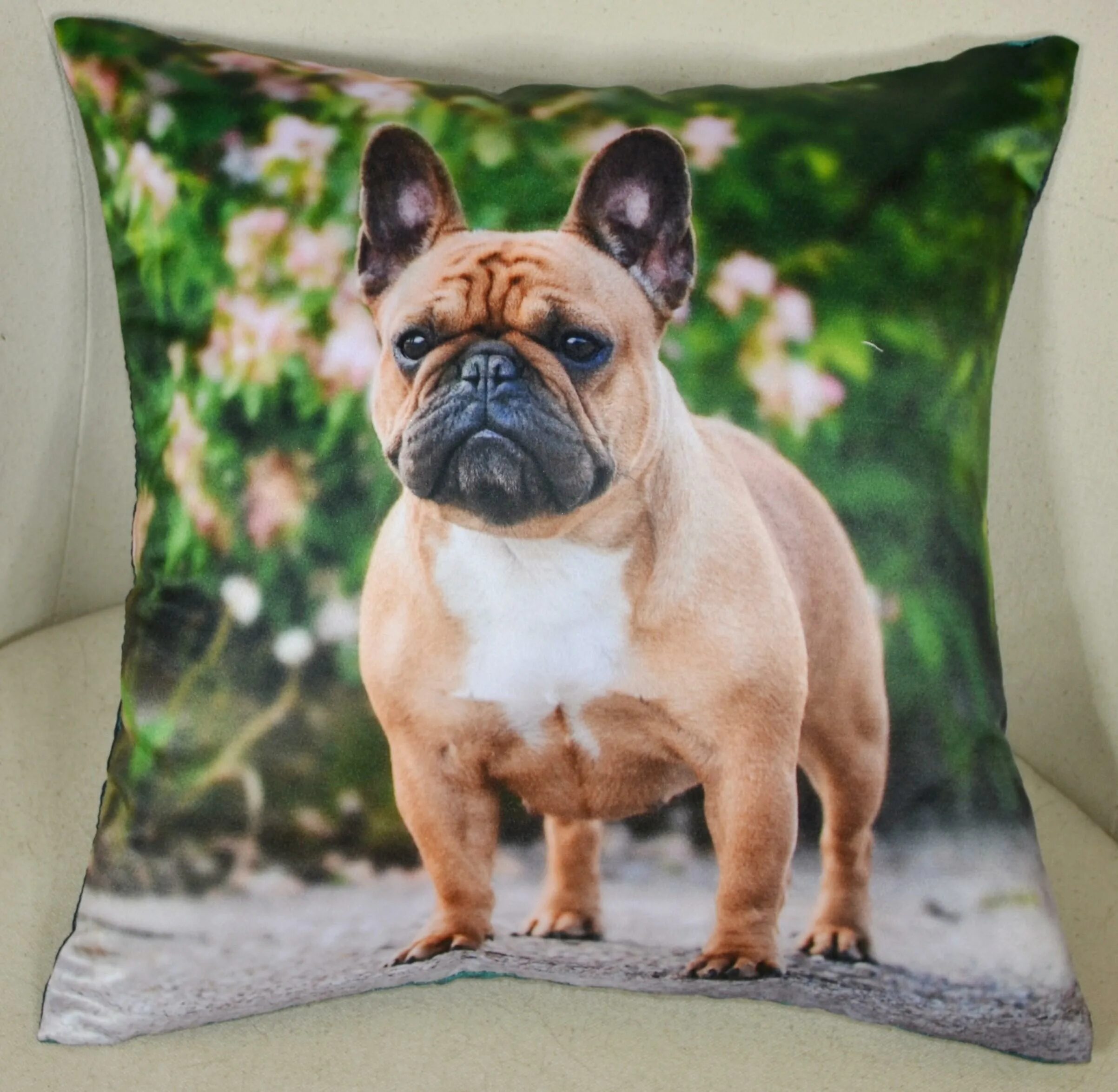 Кучерявый французский бульдог фото Подушка с фотопечатью Французский бульдог купить в Волгограде ДомАлетто