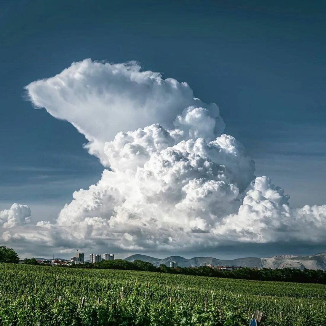 Кучево дождевые облака фото Облака-взрывы замечены в небе над Новороссийском + фото и видео - Новости Новоро