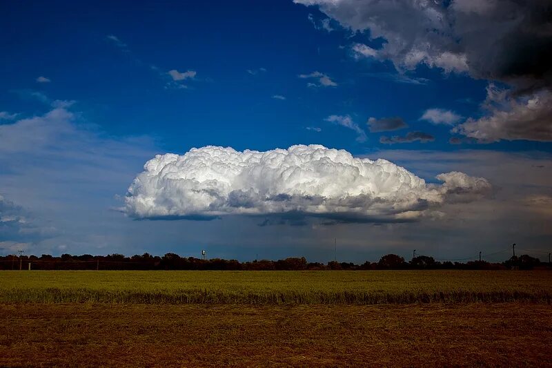Кучевые дождевые облака фото Cumulus Congestus Over Water