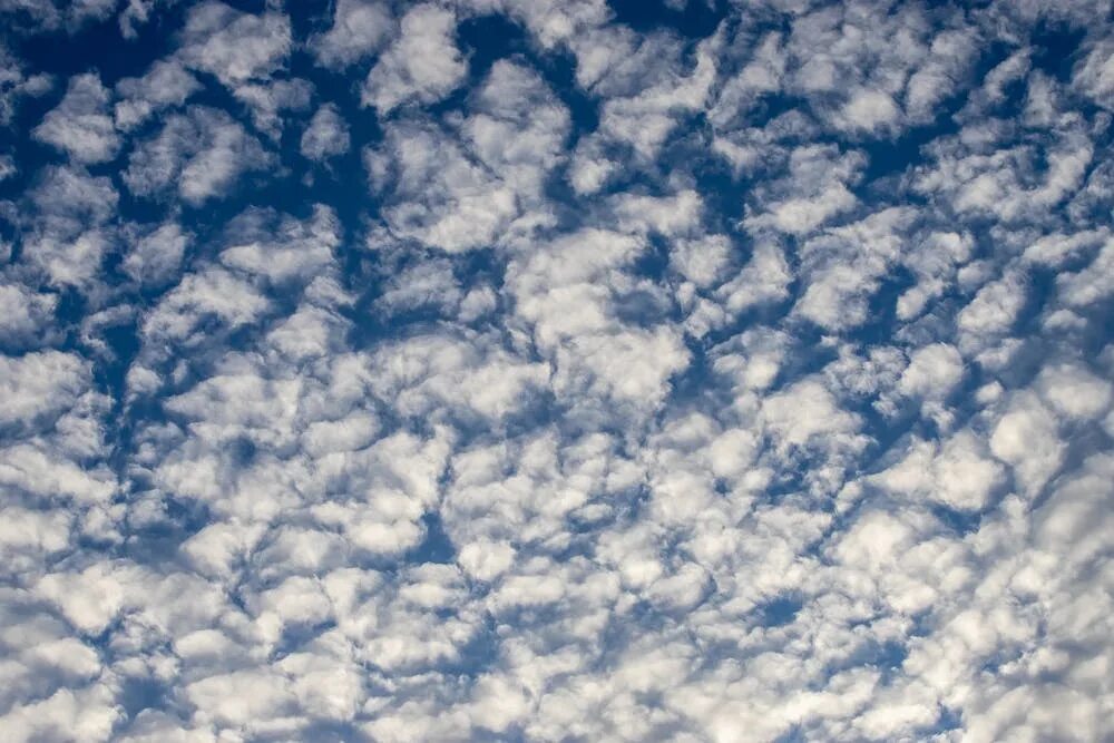 Кучевые облака фото Какое ажурное, чудное небо (Раиса Дор) / Стихи.ру