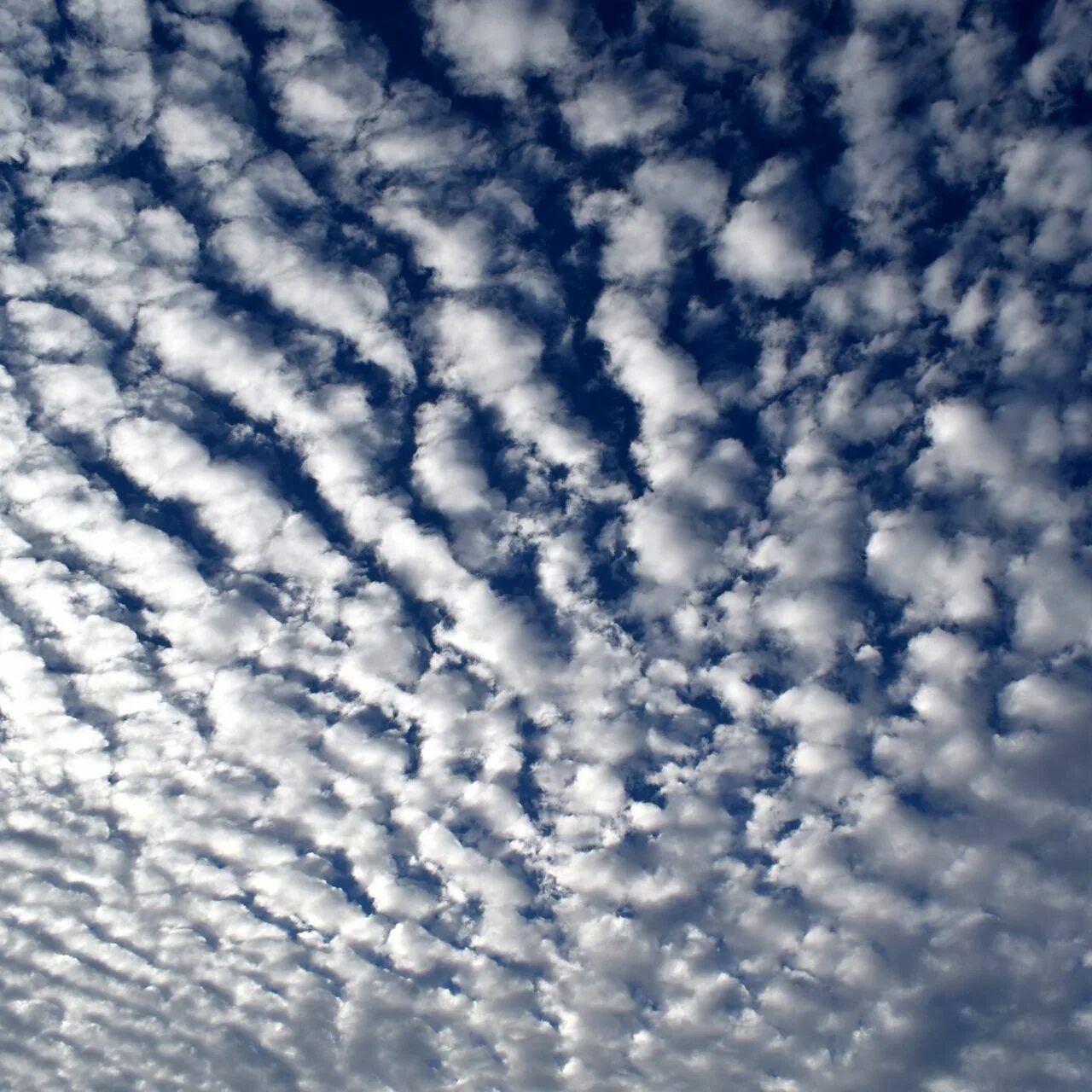 Кучевые облака фото Download wallpaper 1280x1280 sky, clouds, curly, white, summer ipad, ipad 2, ipa