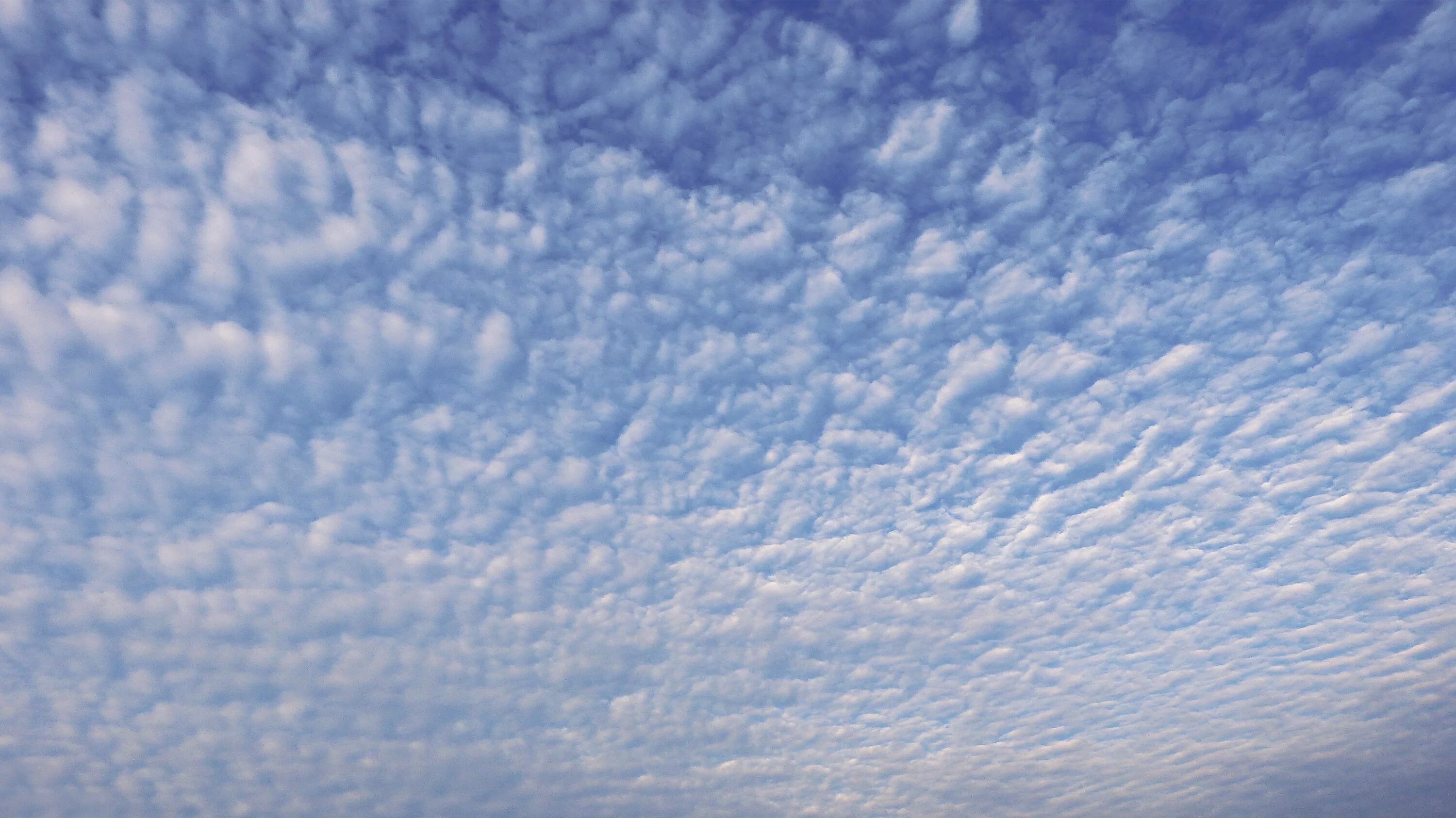 Кучевые облака фото Free Images : horizon, cloud, sky, white, sunlight, cloudy, daytime, high, fluff