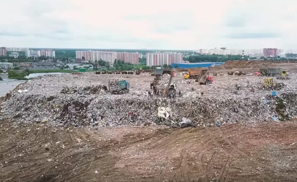 Кучино московская область фото Head of the Environmental Protection Department of the Ministry of Ecology of th